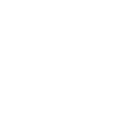 Basquetebol 